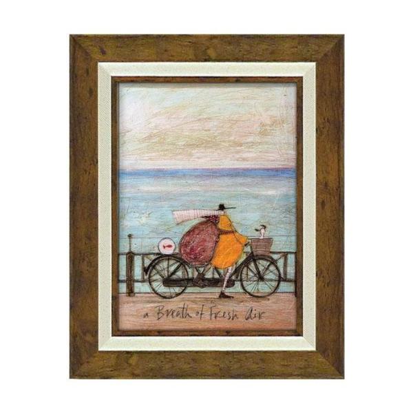 [p[ A[gt[ T gtg utbVGA[̕lӁv ST-05838@s/s