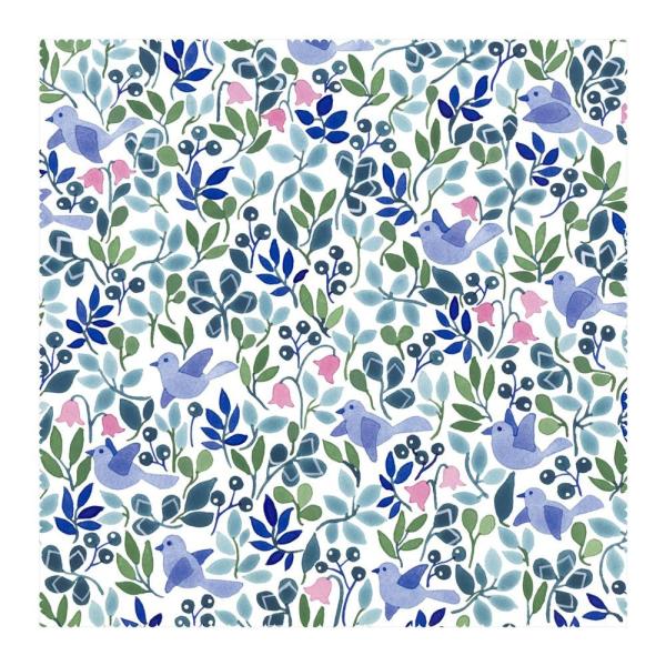 UB[i~j}bNX Anna Emilia Kl@ 1 AE-2@s/s