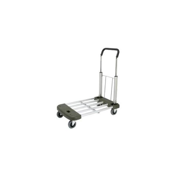 É@A~LAԁ@őύڗ100kg@EX-1A@s/s