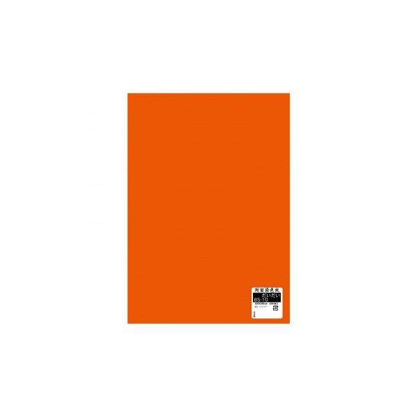 ʐF 100  BS-10 1 Zbg@s/s