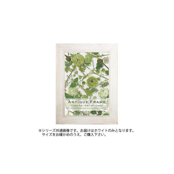 AeB[Nt[^40 zCg A3(421×298)@s/s