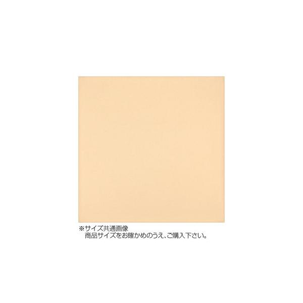 gV[ J[NX 24×24cm A2424-YOO G-48 s[`@s/s