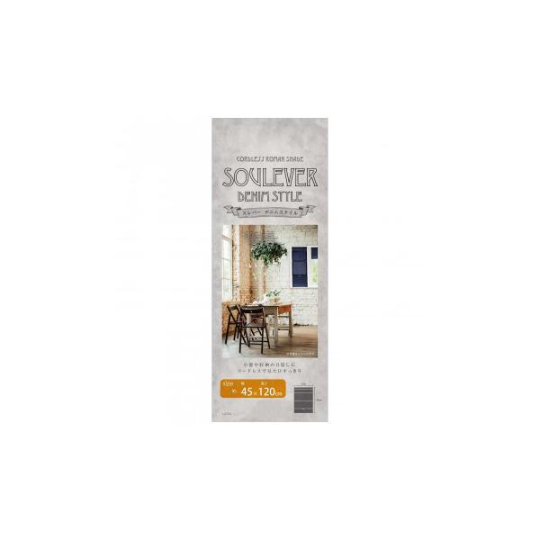 �R�[�h���X���[�}���V�F�[�h �X���o�[ 45×120cm �f�j���^�C�v L6234�@������s��/�����s��