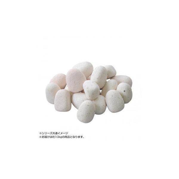 NXstyle@A[XtF[o[@GbOubN@zCg@AF-W1@10kg@9900745@s/s