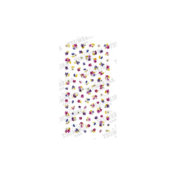 cL lCV[ noble hCt[Ƌ1 NO-DFG-101(WFp)@s/s