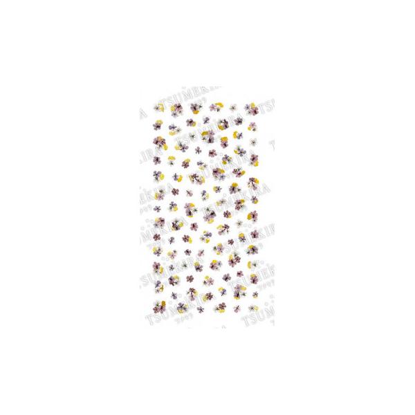 cL lCV[ noble hCt[Ƌ2 NO-DFG-102(WFp)@s/s