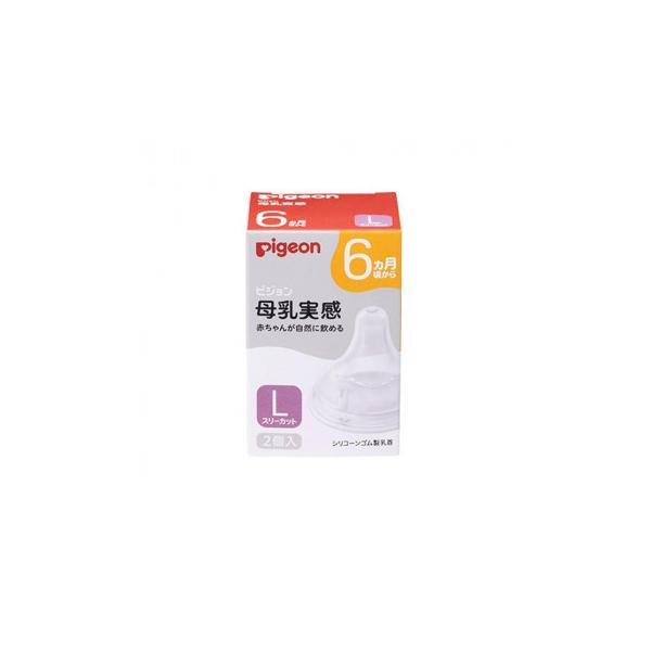 Pigeon(sW)  6/L 2 22 1026769@s/s