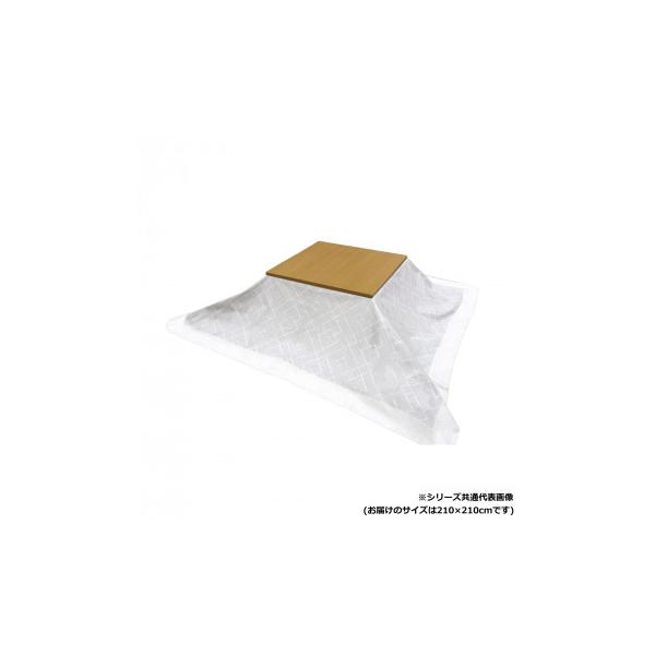 ※お届け地域により、別途運賃がかかる場合やお届けできない場合がございますので、お問い合わせ下さい。