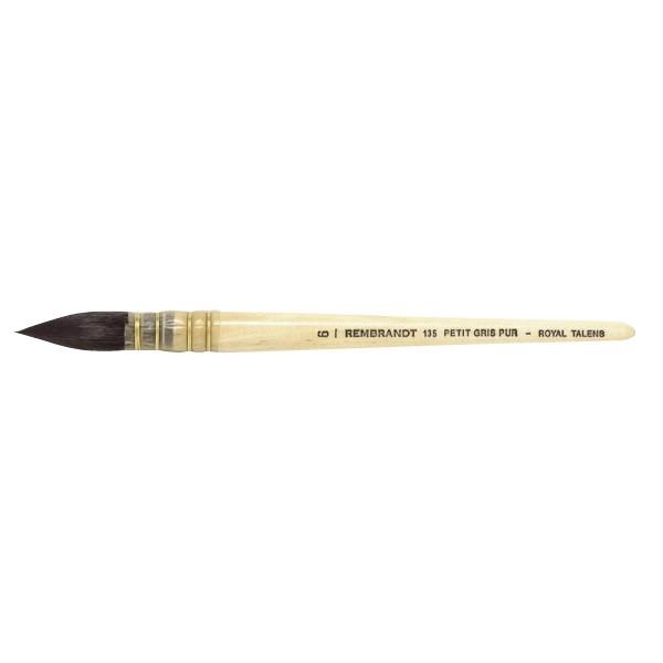 REMBRANDT@ugʉM135@X/Eh@@T909-135-06(6)@495605@s/s