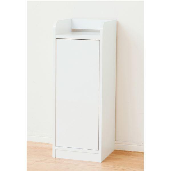 ʃf[bN/t[I kX^Cvl 30cm zCg() kgl