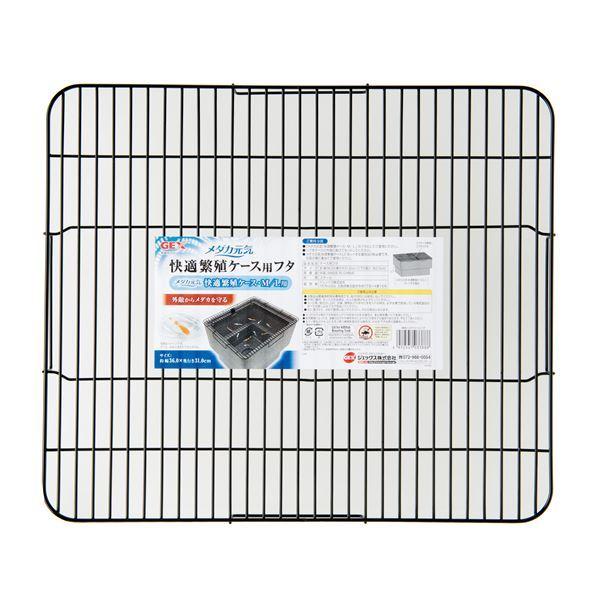 (܂Ƃ) _JC KɐBP[Xpt^ k×3Zbgl (ybgpi)