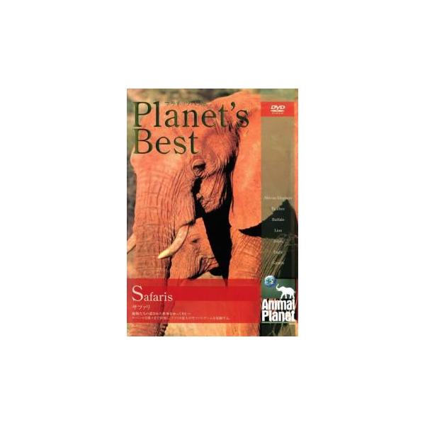 5000円以上送料無料の対象商品です。 爆買【バーゲン】 (ジャンル) 趣味、実用 動物 (入荷日) 2024-02-01、 y0020335-182