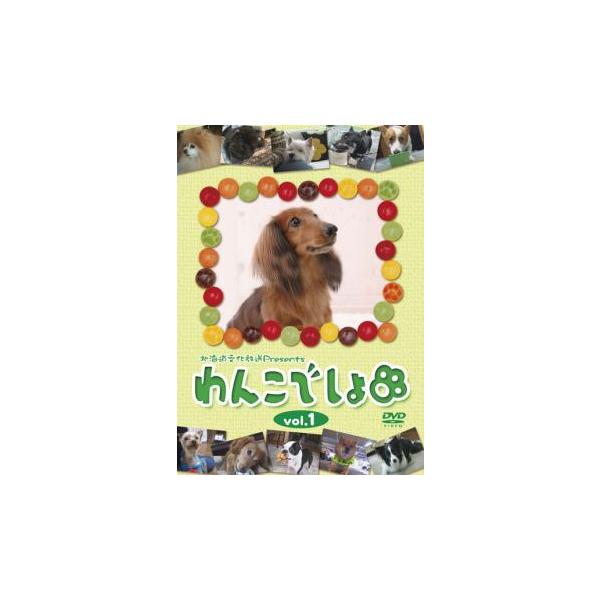 5000円以上送料無料の対象商品です。 爆買【バーゲン】 (出演) ナレーション：みずのゆき (ジャンル) 趣味、実用 子供向け、教育 動物 (入荷日) 2024-06-19、 y0066023-189