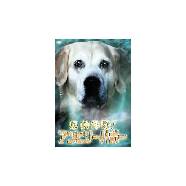 5000円以上送料無料の対象商品です。 爆買【タイムセール】 (ジャンル) 邦画 ホラー ドキュメンタリー 感動 (入荷日) 2023-11-10、 y0077822-176