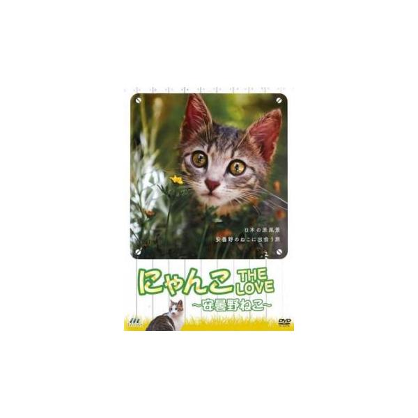 にゃんこ THE LOVE 安曇野ねこ レンタル落ち 中古 DVD ケース無:: 「売り尽くし」
