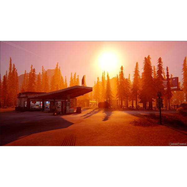 mediaworld-plus_10442552001_5