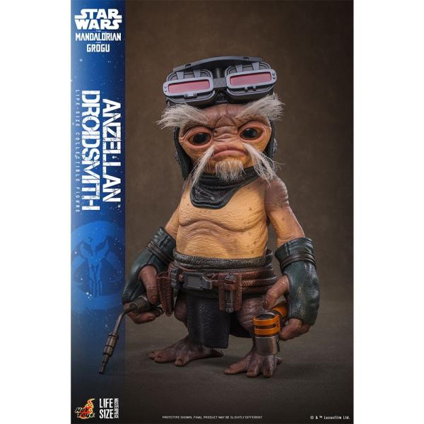 ホットトイズ SAS HALO 1/6 アクションフィギュア 専用収納袋 未開封 ホットトイズ（Hot Toys） 『予約安心発送』{FIG} ライフサイズ