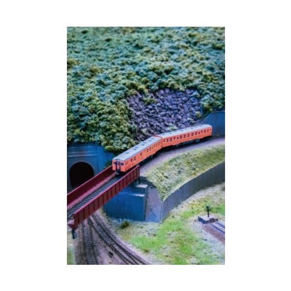 『新品』『お取り寄せ』{RWM} 10-041 特別企画品 Local-Sen キハ20系 オレンジ2(2両) KATO Nゲージ60周年記念製品(動力付き) Nゲージ 鉄道模型 KATO(20250726)