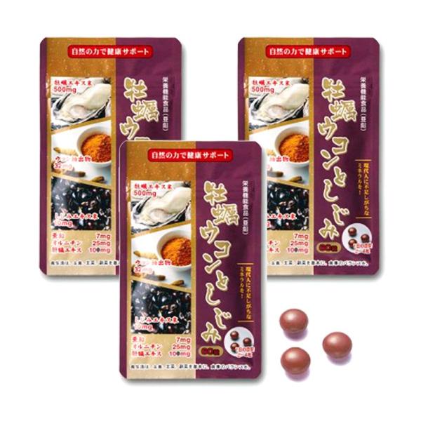 yERƂ 603܃Zbg ilR|XΉ̈דwsłj