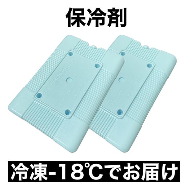 冷凍品 保冷剤 蓄冷剤 超冷却 容器  -15℃ 1000mL 2個 ハードタイプ リユース マイナス15℃ キャンプ 釣り 部活 熱中症 アウトドア 日本製