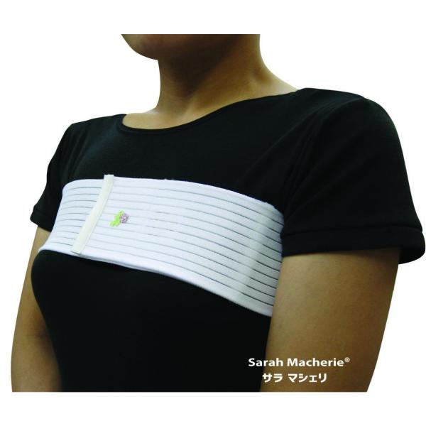 スタンダード乳癌手術 エキスパートが伝える スタンダード乳癌手術 | 増田 慎三, 井口