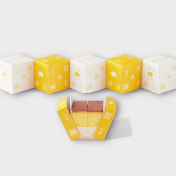 プテラ3枚セット　カツラのファイヤー プテラ3枚セット カツラのファイヤー プテラ3枚セット カツラの