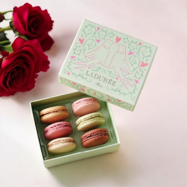 LADUREEラデュレプティ・コロンブ マカロン6個入り