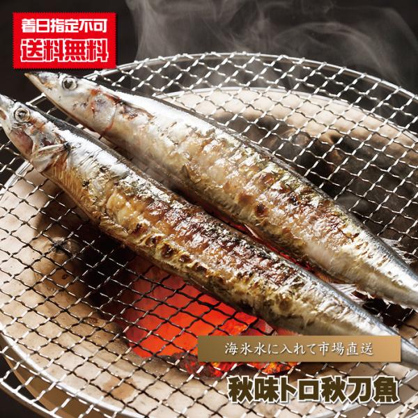 サンマ さんま 送料無料 秋味トロ秋刀魚 2kg前後（12〜15尾入り） お