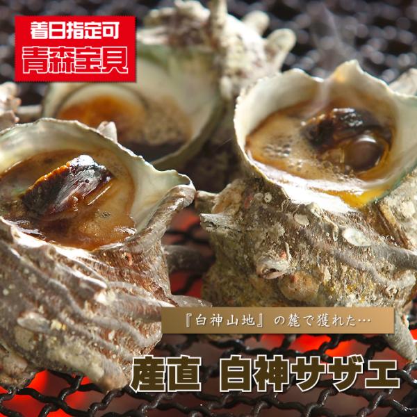 ■商品内容 ： 産直『白神サザエ』/１０個■産地 ： 青森県産■賞味期限 ： 冷蔵庫で約２日間■お召し上がり方法 ： お刺身はもちろん、つぼ焼き最高！■お召し上がり人数の目安 ： 約５人前■配送方法 ： クール便 【 冷蔵 】 ※冷凍品との...