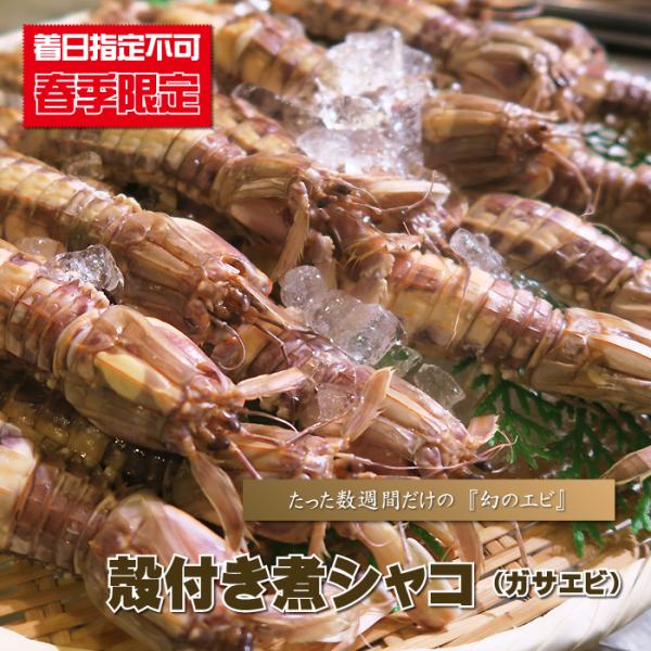 しゃこ 蝦蛄 春季限定 殻付き煮シャコ ガサエビ がさえび