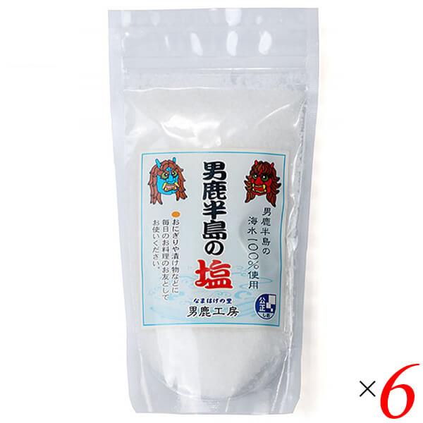 塩 天然塩 食塩 男鹿半島の塩 80g 6袋セット 男鹿工房
