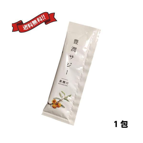 他サイト： サジージュース サプリ 豊潤サジー スティックタイプ お試しバラ売り1包の商品画像