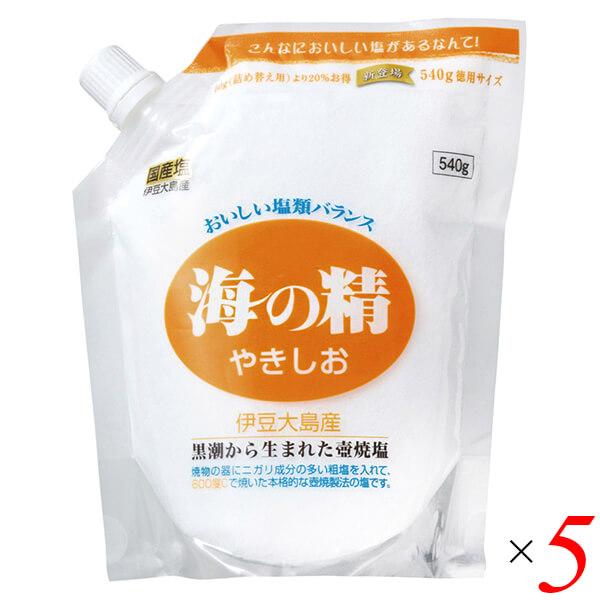 【ポイント+9％！】7/25(土)限定！塩 天然塩 天日 海の精 やきしお（スタンドパック）540g 5個セット 送料無料