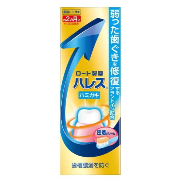 nX n~KL (50g) [g toothy򕔊Oiz