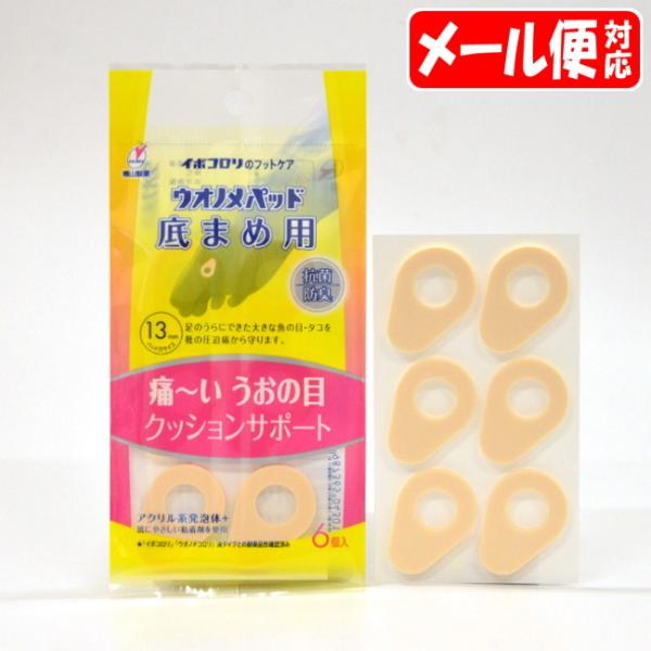 y[15zC{R EImpbh ܂ߗp (6) R corn