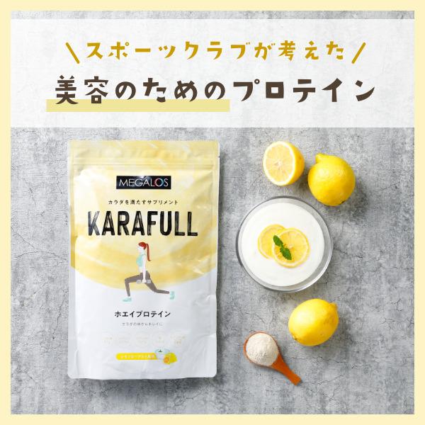 zGCveC [Og ^pN rtBYX e ɂ X|[cNu _CGbg Tvg KARAFULL