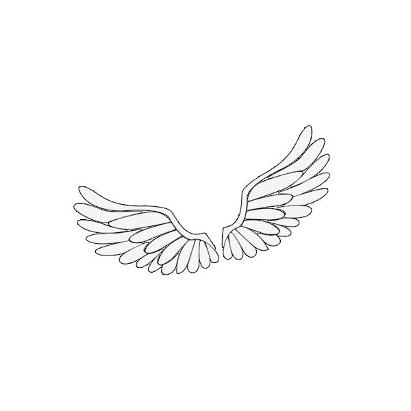 ステッカー 天使の翼 エンジェル ウイング angel wing カスタム リアガラス
