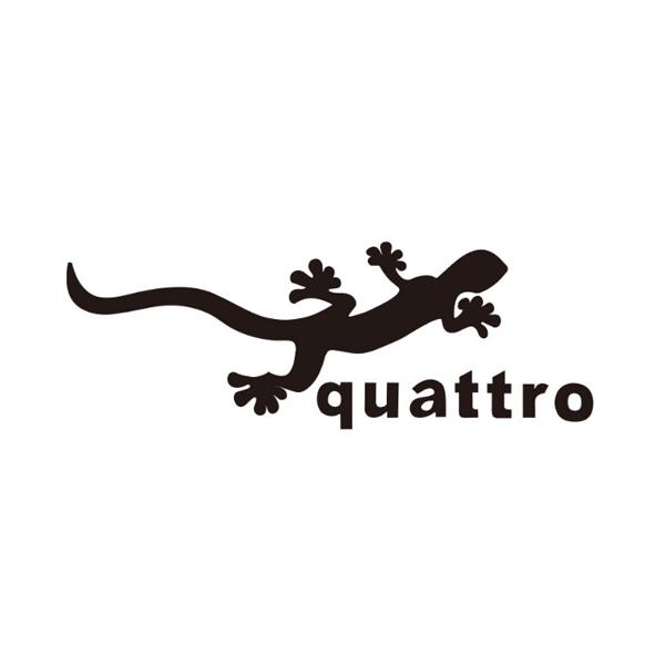 ステッカー リザード クアトロ ミニ Lizard Quattro カスタム トカゲ MINI