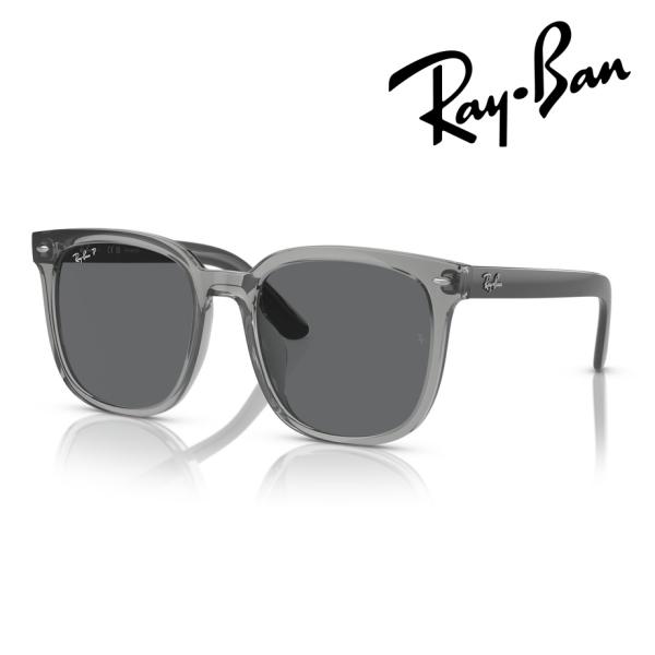 megane-hayami_rb4401d-659981