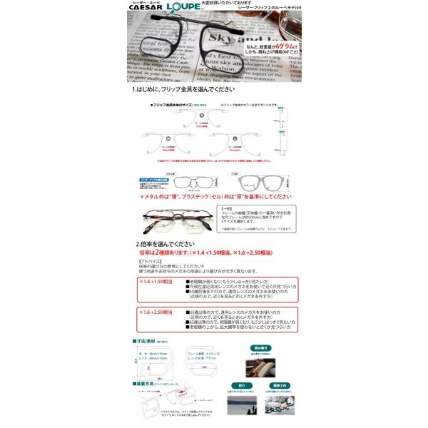 シーザーフリップ2のフリップを使います。■簡単なワンモーション装着■三段階の(60 120 180)のハネアゲポジション■ワンプッシュ・レンズ交換機能■軽量・薄型の密着性重視の設計■フリップ本体　ガンメタ■ルーペはクリアーのみで、倍率X1....