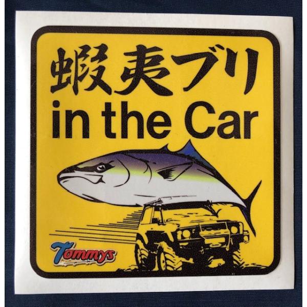 g~[Y (Tommys) @XebJ[@ڈ΃uin the Car@ 10cm×10cm