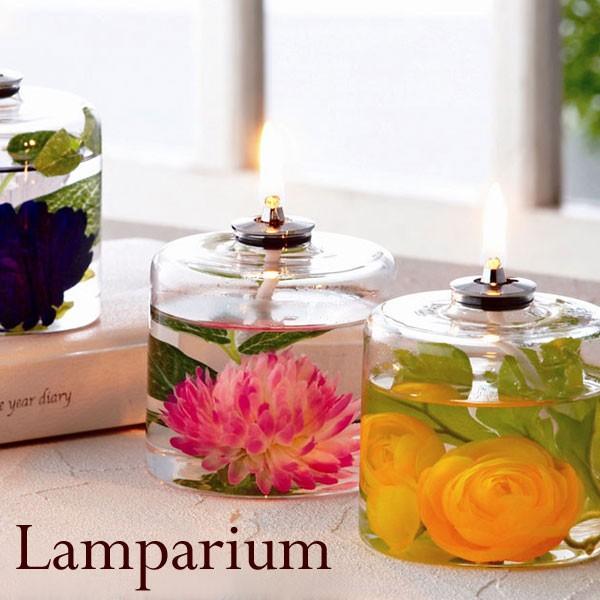 A[eBtBVt[ v n[oE G ibNX ICv  j o