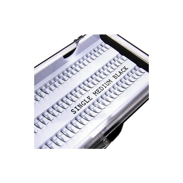 GNXe Single~fBA ܂