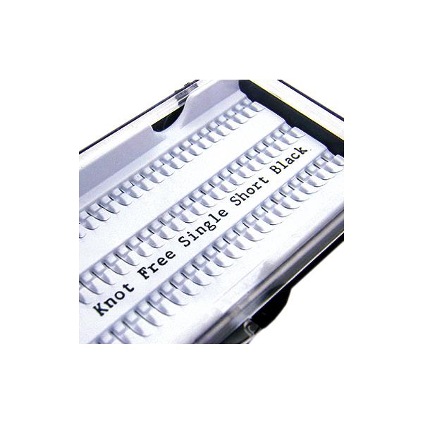 GNXe sASingleV[g ܂