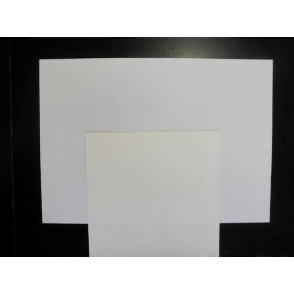 zp̎q 120cm×50m   ł a ł