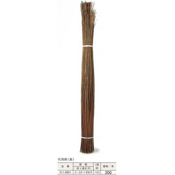   p() 6ڂ2`3 100{i DIY