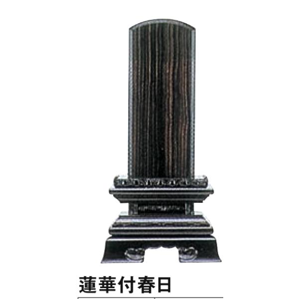  ʔv @ؕtt6 (279x137mm)