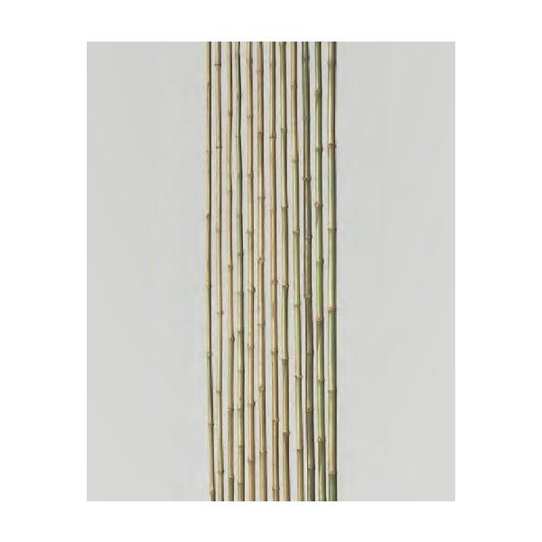 | | | 900`1500mmx6mm 1{P