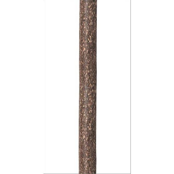 ۑ ъۑ Kۑ qmL i390075ӖTCY