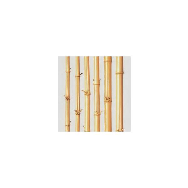 | | tN| 炵| TV| 3950x38~43mm h 1{P